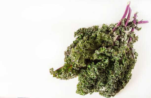istock Fresh leaves of cabbage Kale. Dark background. A delicious diet. 834761346