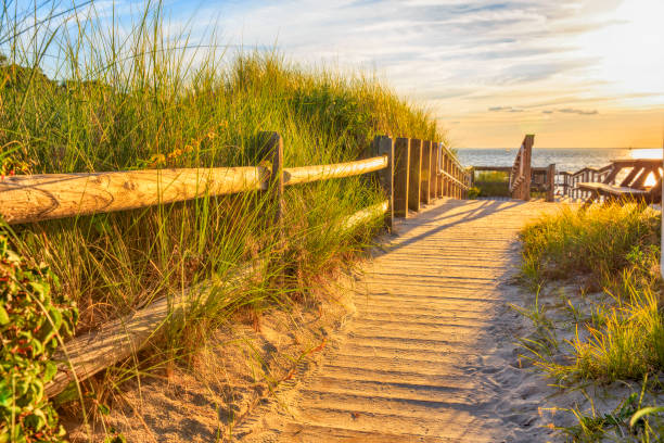 istock wooden path to the ocean 834761422