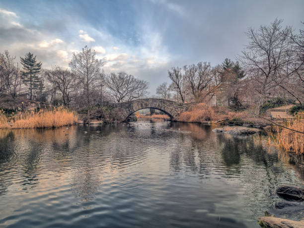 istock Gapstow bridge Central Park, New York City 834761944
