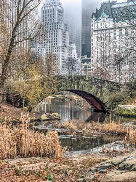 istock Gapstow bridge Central Park, New York City 834762968