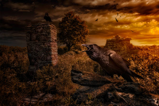 istock Kings of ruins 834766934