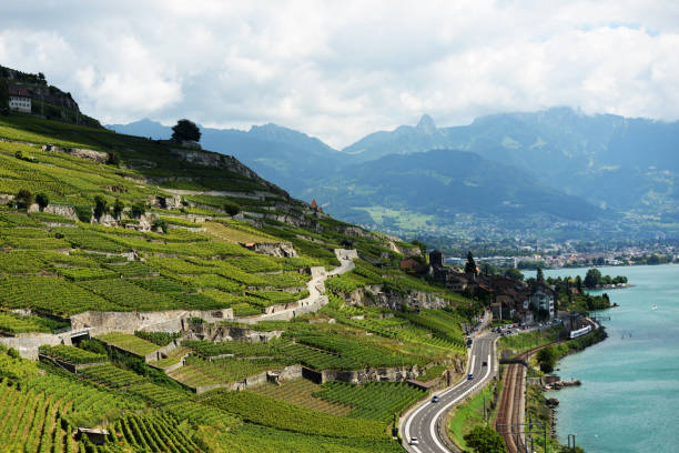 istock Vineyards of Lavaux 834776654