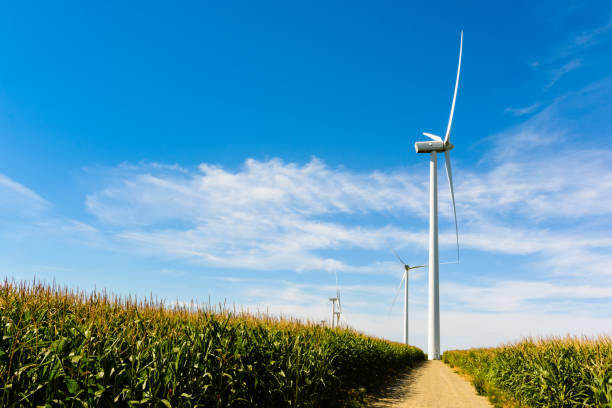 istock Alignment of wind turbines generating sustainable electricity amid the corn fields 834783634