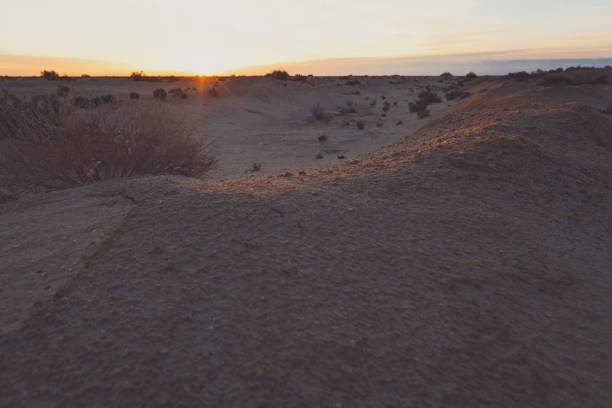 маленькие песчаные барханы с травой на восходе солнца. - sand dune sand orange california стоковые фото и изображения