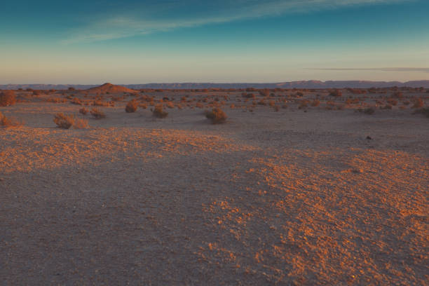 маленькие песчаные барханы с травой на восходе солнца. - sand dune sand orange california стоковые фото и изображения