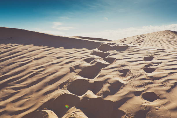 маленькие песчаные барханы с травой на восходе солнца. - sand dune sand orange california стоковые фото и изображения