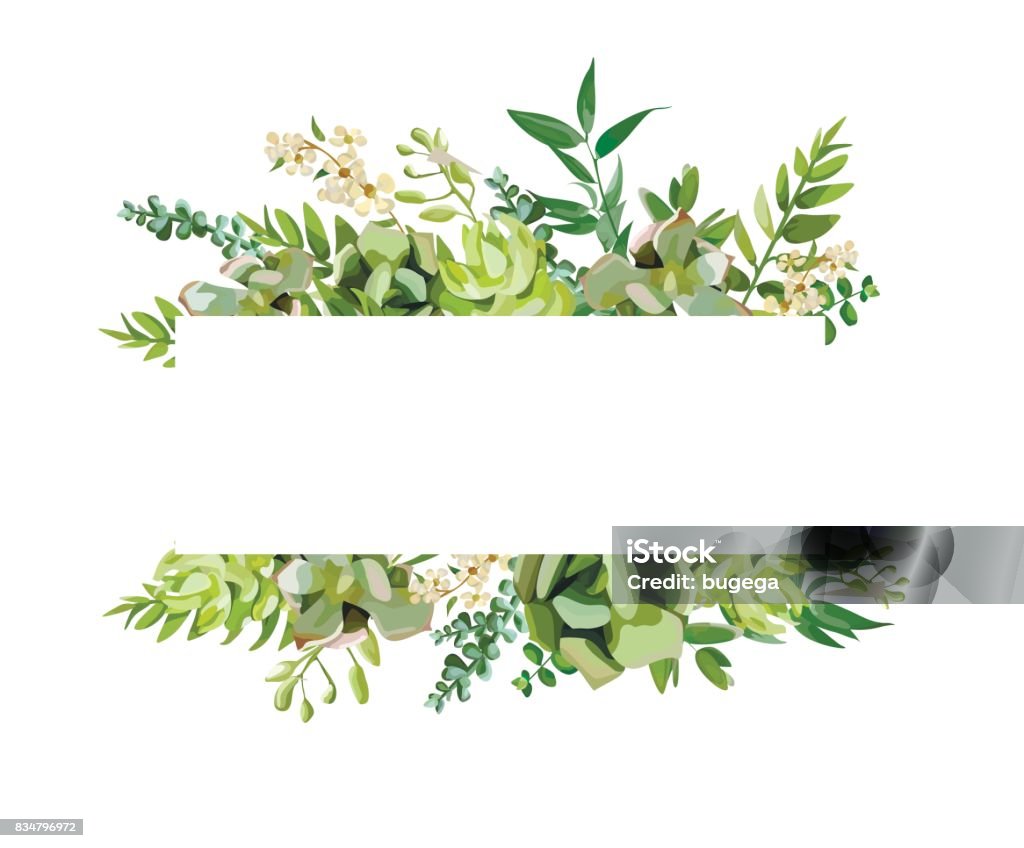 Vector floral design horizontal card design. Soft succulent, cactus flower garden eucalyptus green fern seasonal branches leaves mix. Greeting invitation wedding editable. Frame border with copy space Succulent Plant stock vector