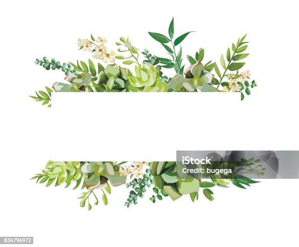 Vector Floral Design Horizontal Card Design Soft Succulent Cactus Flower Garden Eucalyptus Green Fern Seasonal Branches Leaves Mix Greeting Invitation Wedding Editable Frame Border With Copy Space Stock Illustration - Download Image Now