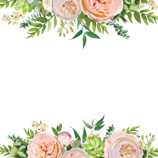istock Vector floral design square card design. Soft pink peach english garden rose, eucalyptus green fern leaves mix. Greeting delicate wedding invitation, Frame border, poster with copy space for your text 834799668