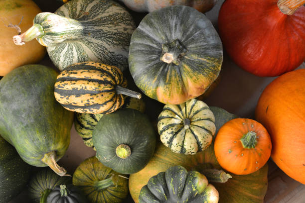 istock Autumn pumpkin harvest 834806726