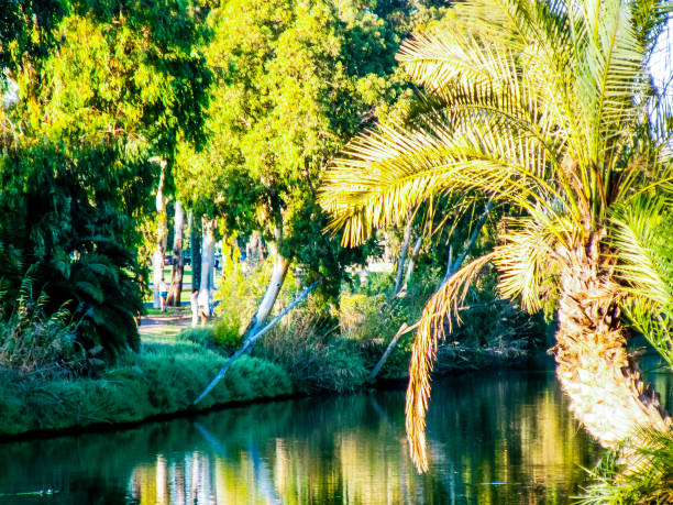 istock Hiking in the nature around Jerusalem in Israel 834809234