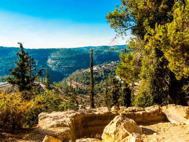 istock Hiking in the nature around Jerusalem in Israel 834809744