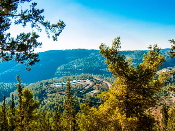 istock Hiking in the nature around Jerusalem in Israel 834809820