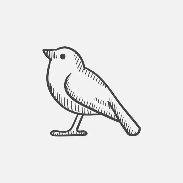 Vector illustration of Bird sketch icon
