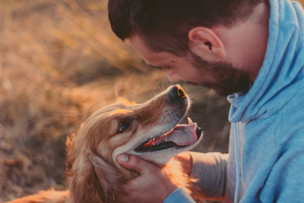 istock Guy and his dog, golden retriever, nature 834813596