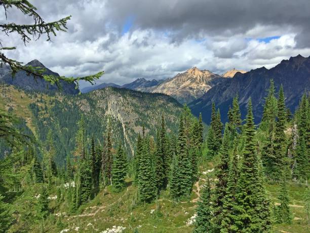 istock Northern Cascades, Washington 834838992