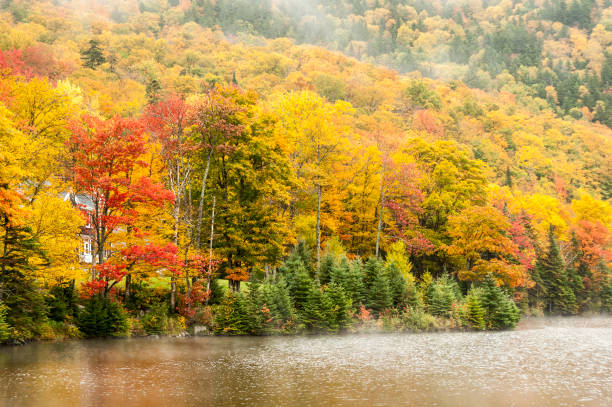 istock Lake Gloriette shoreline 834841410