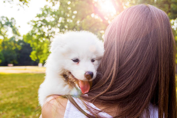 istock Woman spending time with her dog at the park 834846922