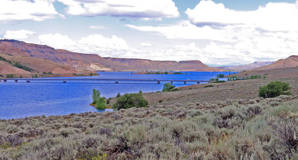 istock Blue Mesa Reservoire, Colorado 834847806