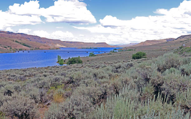 istock Blue Mesa Reservoire, Colorado 834847852