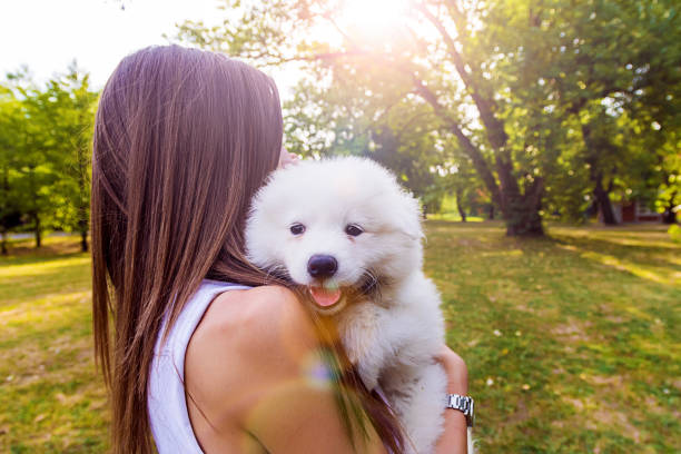 istock Woman spending time with her dog at the park 834848202