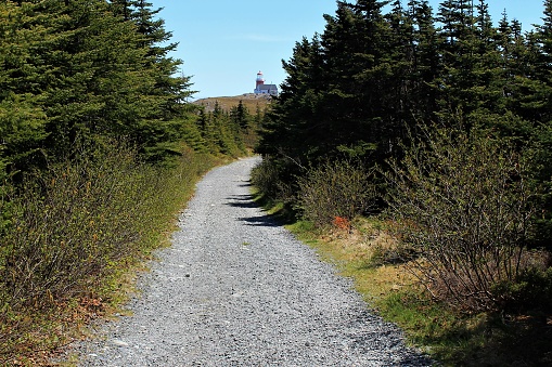Rock cover walking trail leading out to the old lighthouse in Ferryland, Newfoundland. Lighthouse can be seen on top of the hill, in the distance.