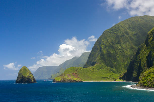 penhascos do mar - molokai - fotografias e filmes do acervo