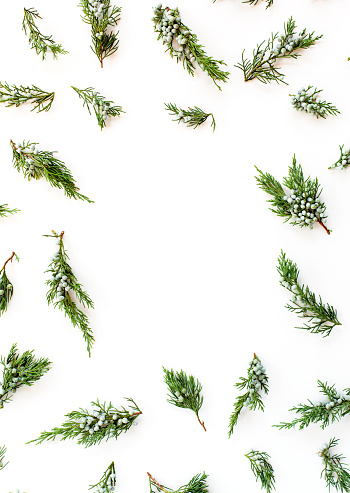 Concepto de Navidad o de año nuevo. Marco de ramas de abeto aislados sobre fondo blanco. Vista plana endecha, superior photo