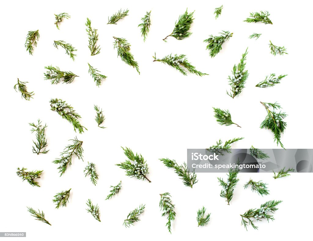 Christmas or New Year`s concept. Frame made of fir branches isolated on white background. Flat lay, top view Arrangement Stock Photo