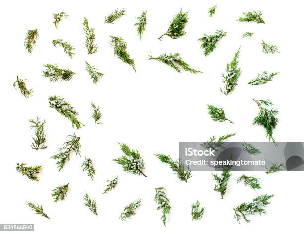 Christmas Or New Years Concept Frame Made Of Fir Branches Isolated On White Background Flat Lay Top View Stock Photo - Download Image Now