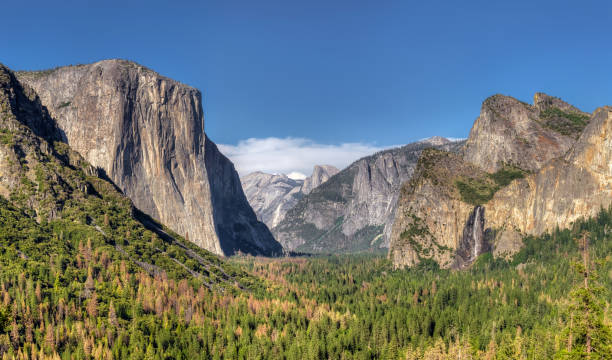 istock Yosemite National Park Valley from Tunnel View 834869826