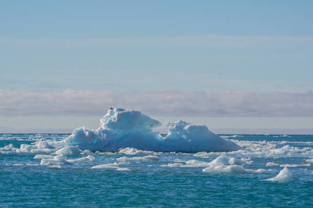 istock Arctic Ocean Surrounding Svalbard Norway 834873930