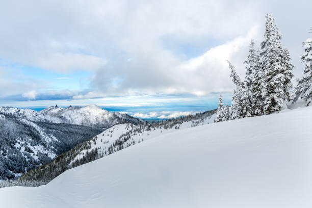 istock Hurricane Ridge, Olympic National Park, WA-USA 834875270
