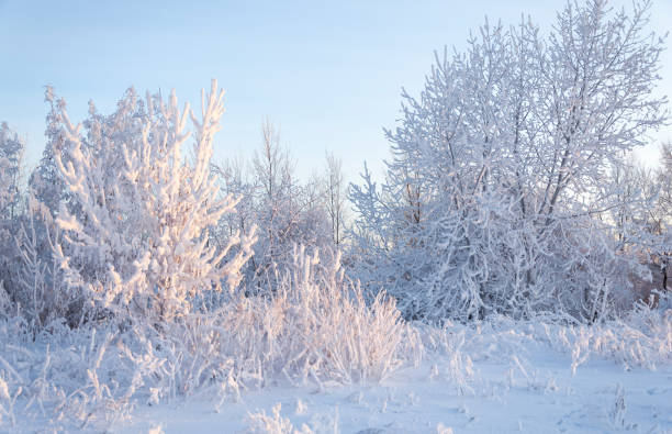 istock winter, winter-tide, winter-time 834892616