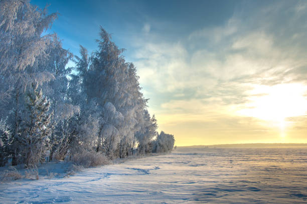 istock winter, winter-tide, winter-time 834893570