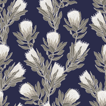 Protea flower vector illustration. Seamless pattern design on a indigo navy blue background.