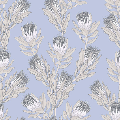 Protea flower vector illustration. Seamless pattern design on a lilac background.