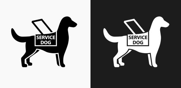 Service Dog Icon on Black and White Vector Backgrounds Service Dog Icon on Black and White Vector Backgrounds. This vector illustration includes two variations of the icon one in black on a light background on the left and another version in white on a dark background positioned on the right. The vector icon is simple yet elegant and can be used in a variety of ways including website or mobile application icon. This royalty free image is 100% vector based and all design elements can be scaled to any size. service dog stock illustrations