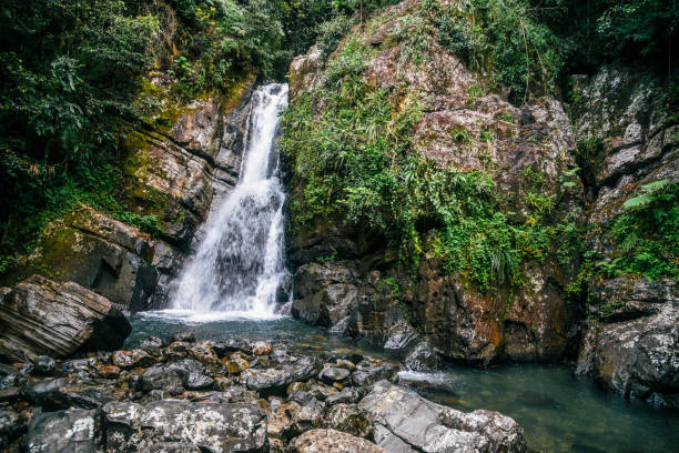 La Mina Falls - El Anvil National Forest stock photo