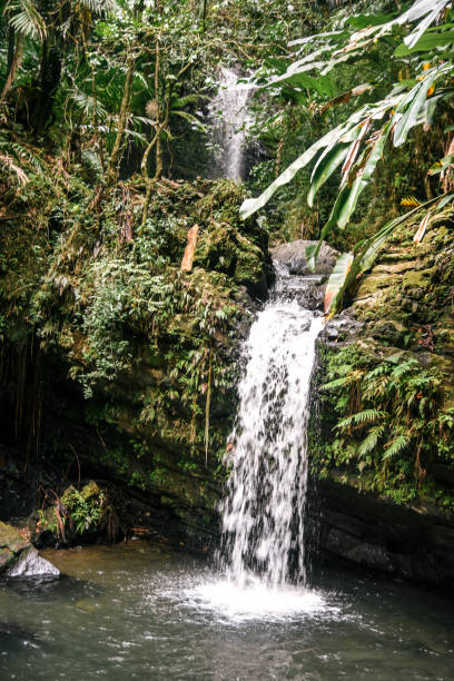 istock Juan Diego Falls - El Yunque National Forest 834944954