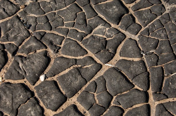 istock The texture of the old tar 834976546