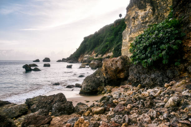 Wilderness Beach, Puerto Rico at sunrise.