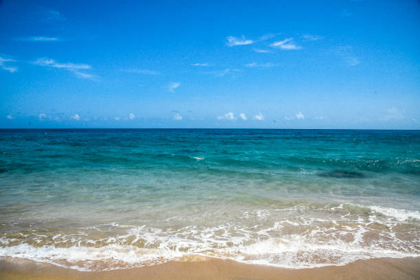 Wilderness Beach, Puerto Rico.