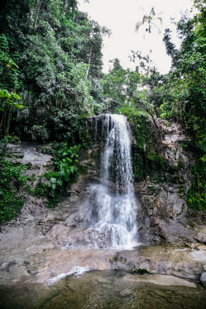 istock Salto Collazo Waterfall, Puerto Rico 834977426