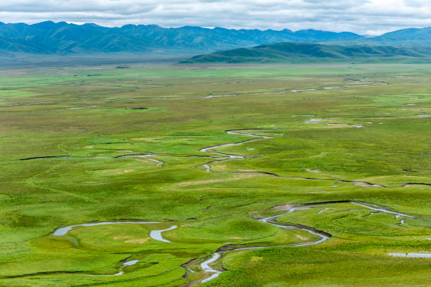 istock The Awancang Wetland 834978248