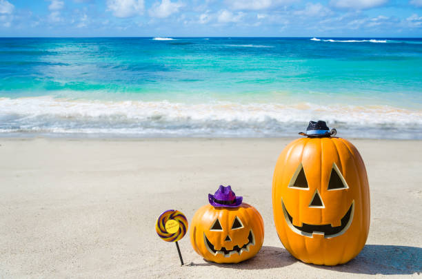 istock Halloween pumpkin background on the beach 835017578