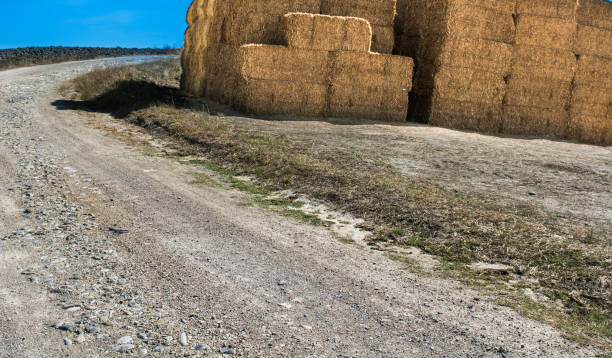 istock Briquettes of wheat hay 835022704