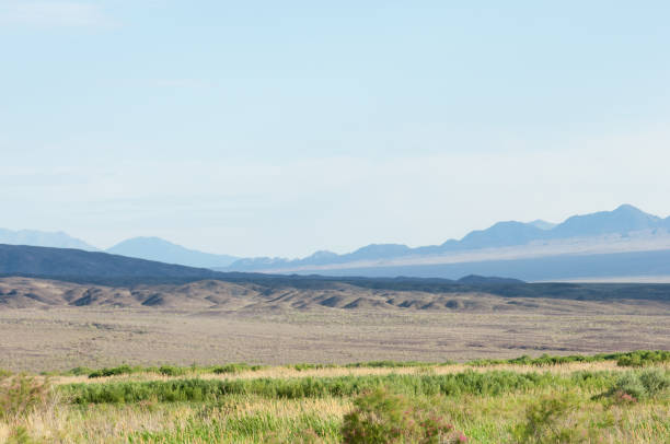 istock steppe summer. Turgai save. Lake in the desert 835024544