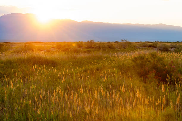 istock steppe summer. Turgai save. Lake in the desert 835024900