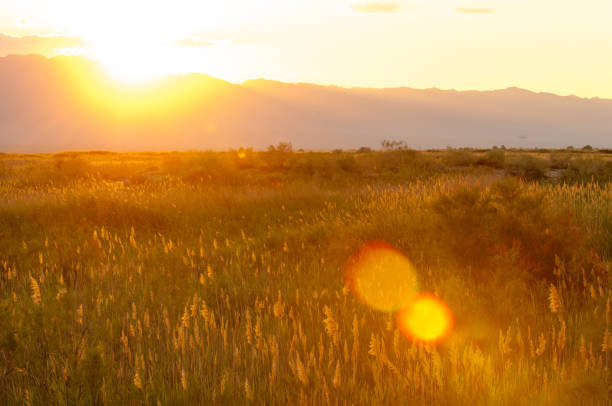 istock steppe summer. Turgai save. Lake in the desert 835024906